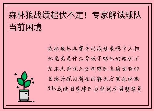 森林狼战绩起伏不定！专家解读球队当前困境