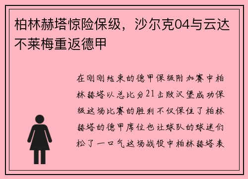 柏林赫塔惊险保级，沙尔克04与云达不莱梅重返德甲