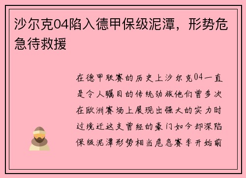 沙尔克04陷入德甲保级泥潭，形势危急待救援
