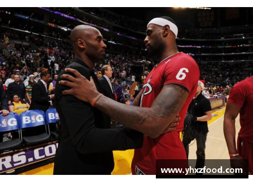 VSport官网詹姆斯的巅峰与全能：从2013年NBA赛季到现在 - 副本