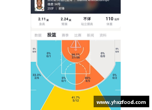 VSport官网NBA球队攻防排名：探索全面数据分析与背后故事