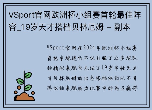 VSport官网欧洲杯小组赛首轮最佳阵容_19岁天才搭档贝林厄姆 - 副本
