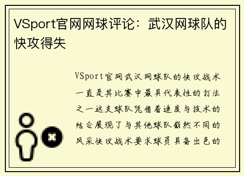 VSport官网网球评论：武汉网球队的快攻得失