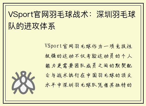 VSport官网羽毛球战术：深圳羽毛球队的进攻体系